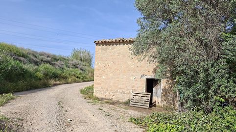 Foto 3 de Finca rústica en venda a Caspe, Zaragoza