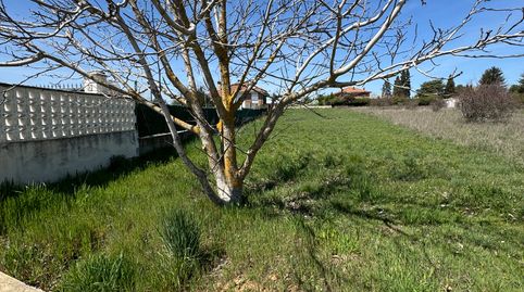 Foto 5 von Residential zum Verkauf in Carretera Antimio Abaj, 32, Onzonilla, León