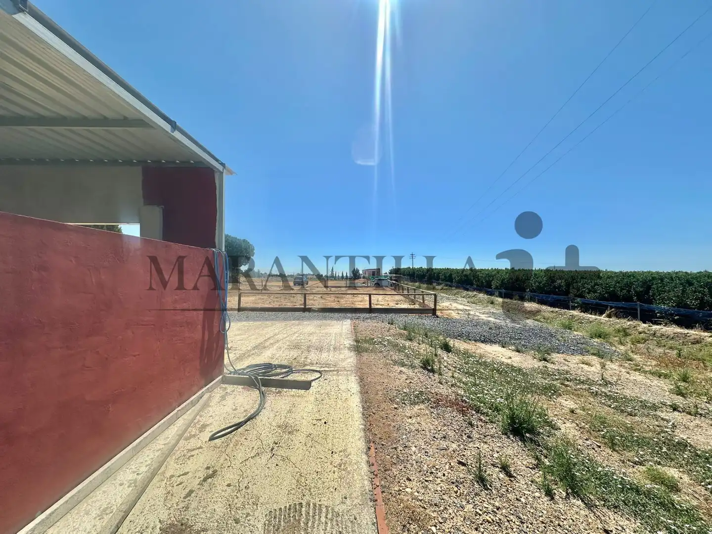Land for sale in Lepe