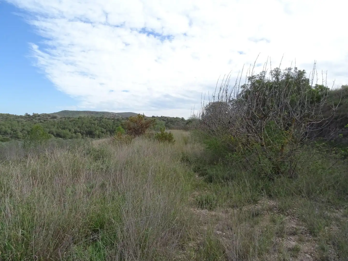 Residencial en venda en El Pinell de Brai