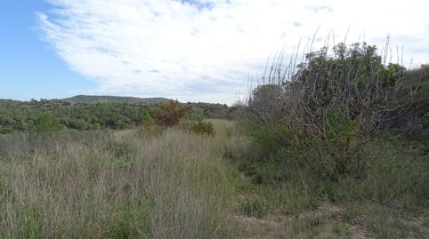 Finca rústica en venta en Pinell de Brai con agua, imatge 4
