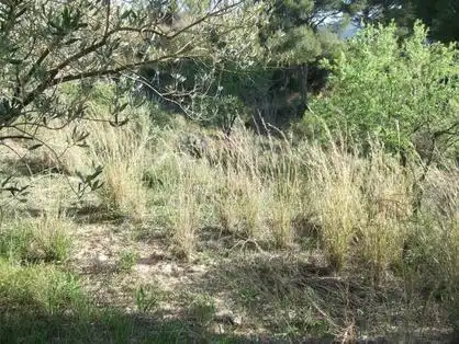 Lands and plots for sale in Lugar Can Segarra, imagen 5