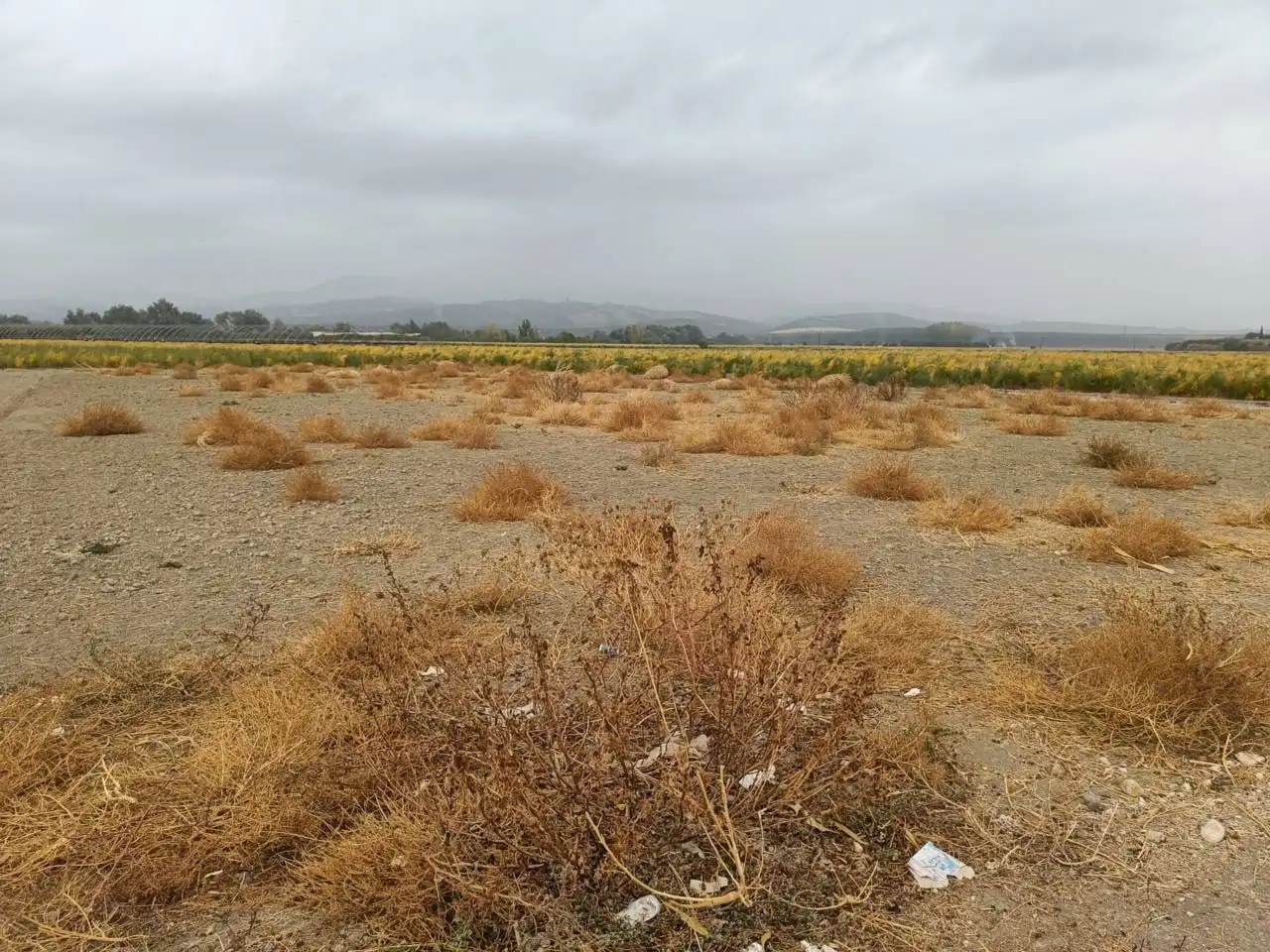 Rural land for sale in Huétor Tájar, imagen 4