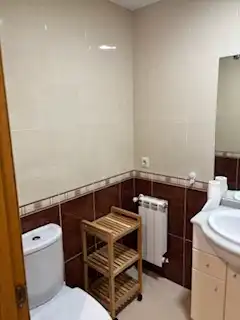 Badezimmer von Wohnungen zur Miete in Ames mit Heizung, Parkett und Abstellraum
