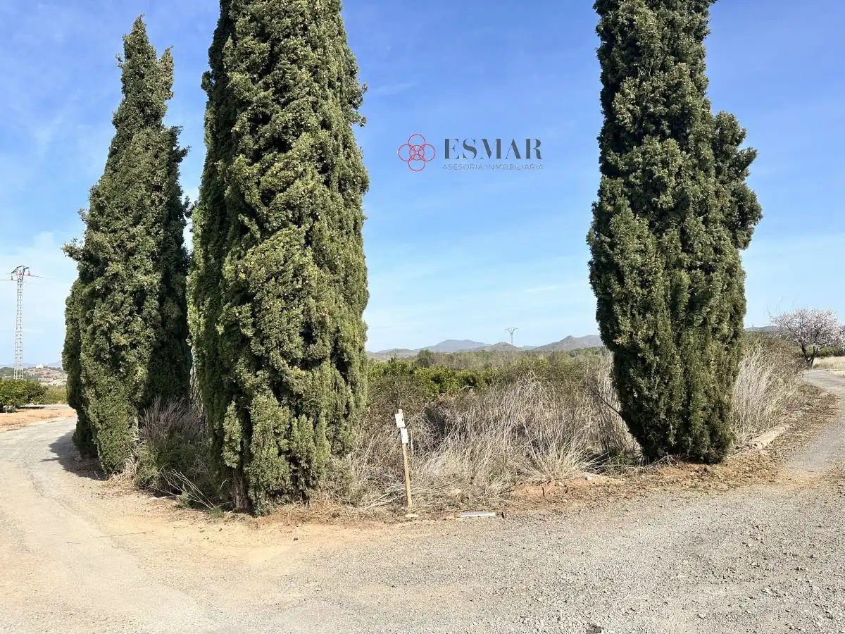 Terreno residencial en venta en Algímia de Alfara