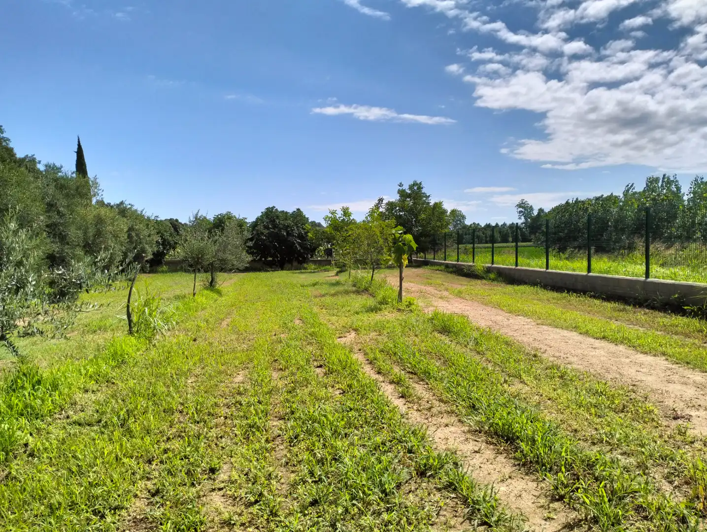 Casa o xalet en venda en Cervià de Ter amb Jardí privat, Terrassa i Balcó