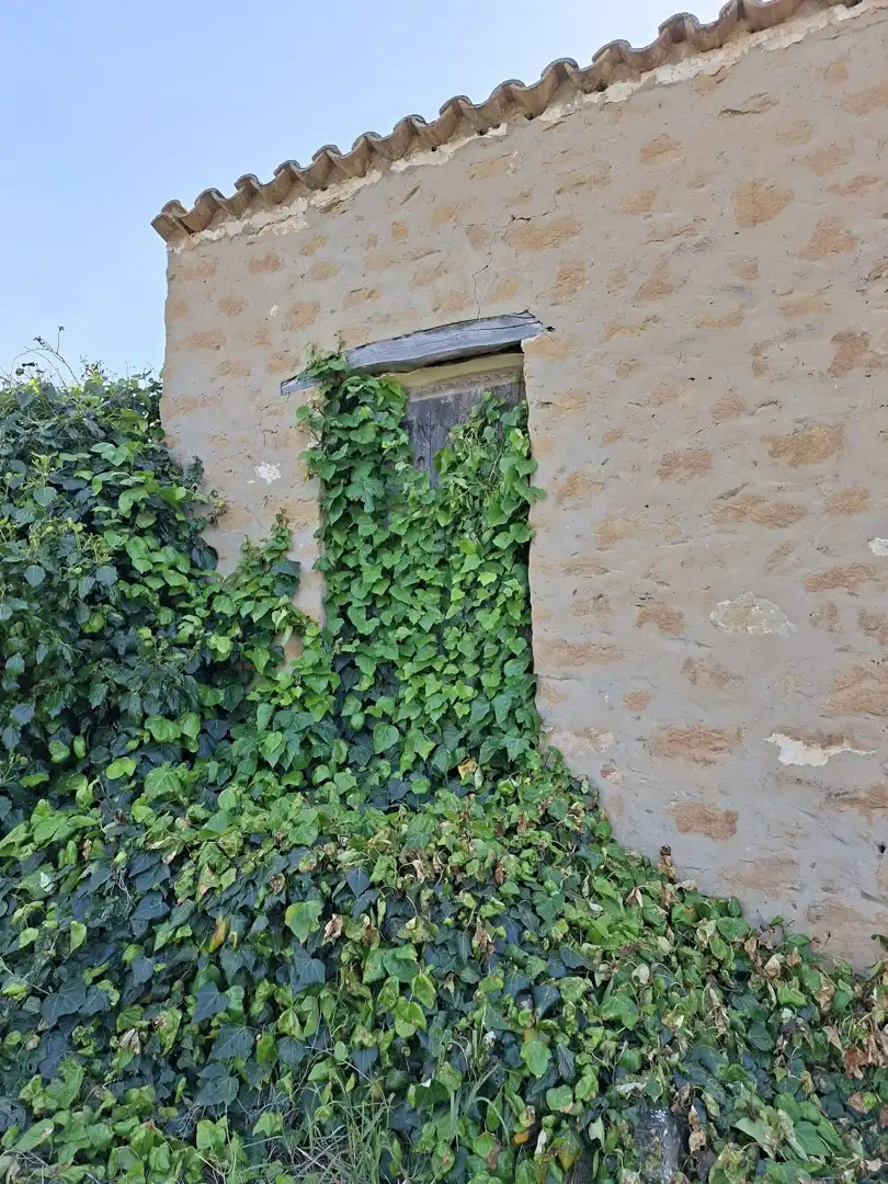 Vista exterior de Finca rústica en venda en Caspe