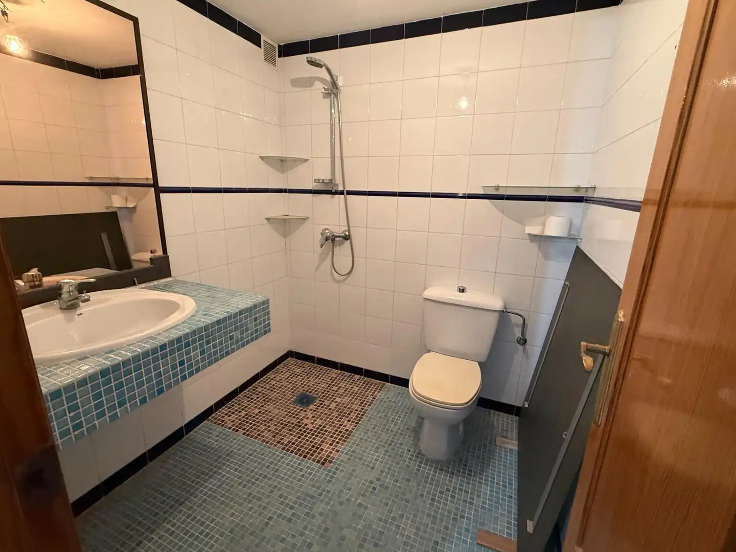 Baño de Casa o chalet en venta en Alicante / Alacant con Jardín privado y Piscina comunitaria