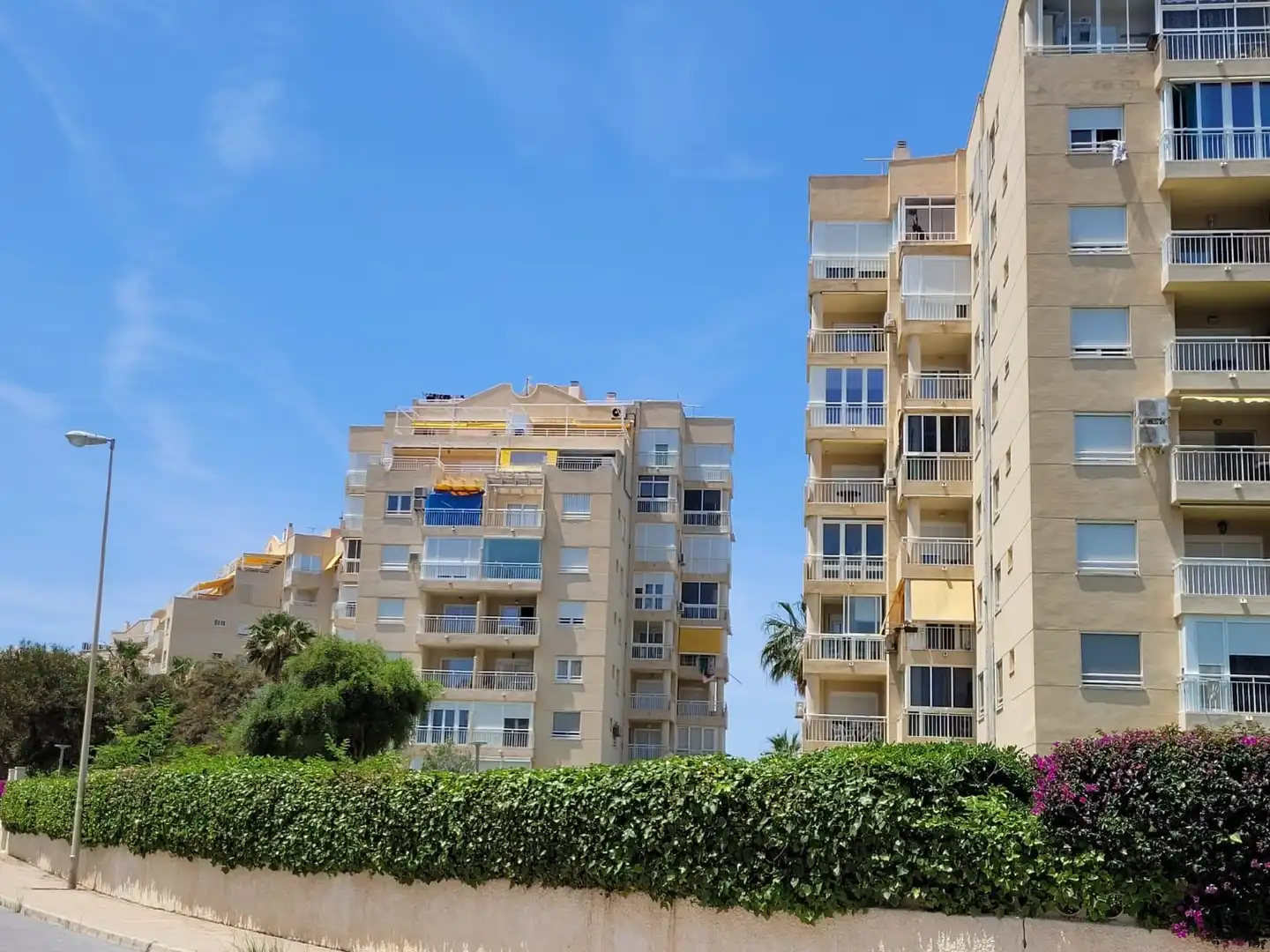 Vista exterior de Apartamento en venta en Alicante / Alacant con Jardín privado, Terraza y Amueblado