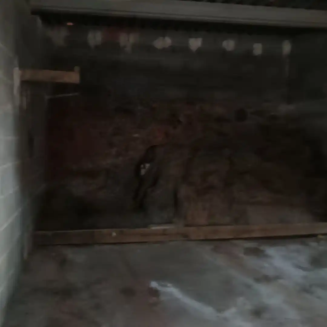 Terrenys i solars en venda a La Vilavella, imagen 4