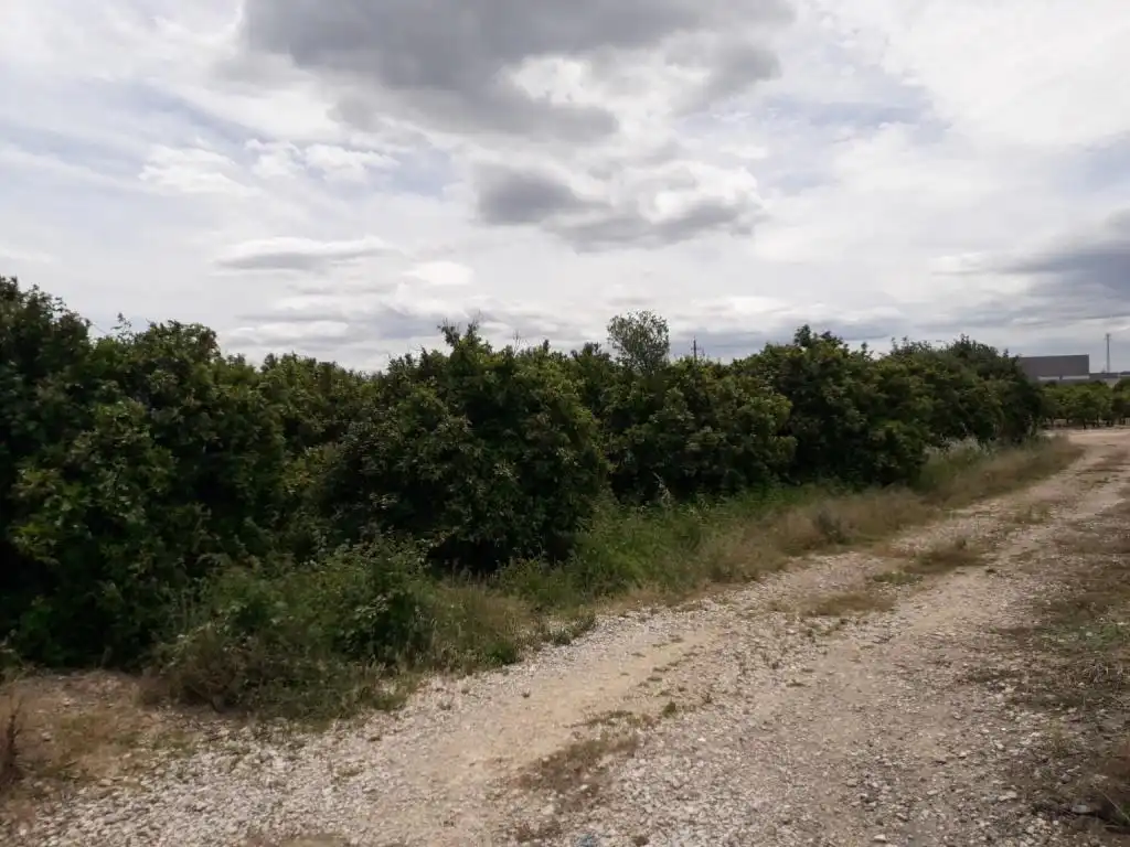 Terrain rustique à vendre à REALENGO