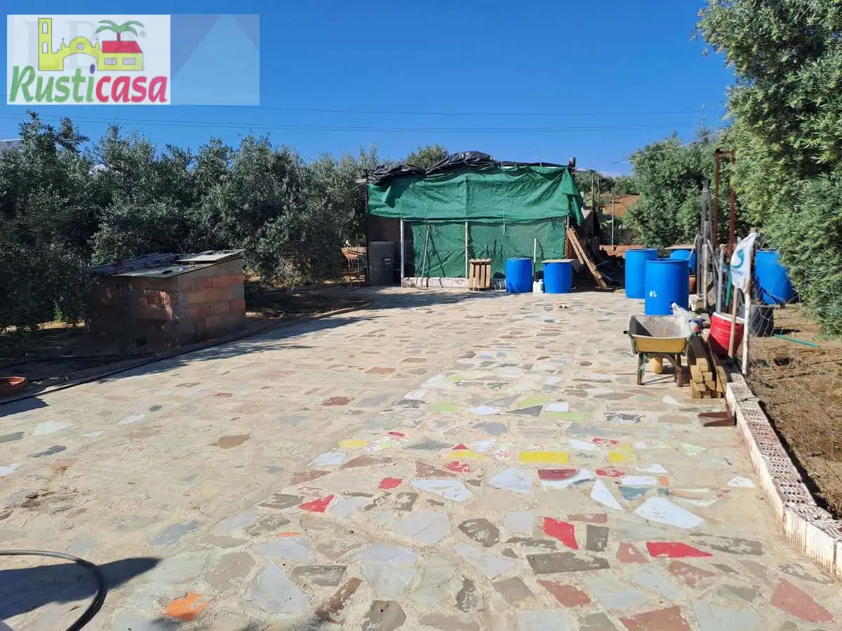 Terreni e lotti in vendita a Bailen