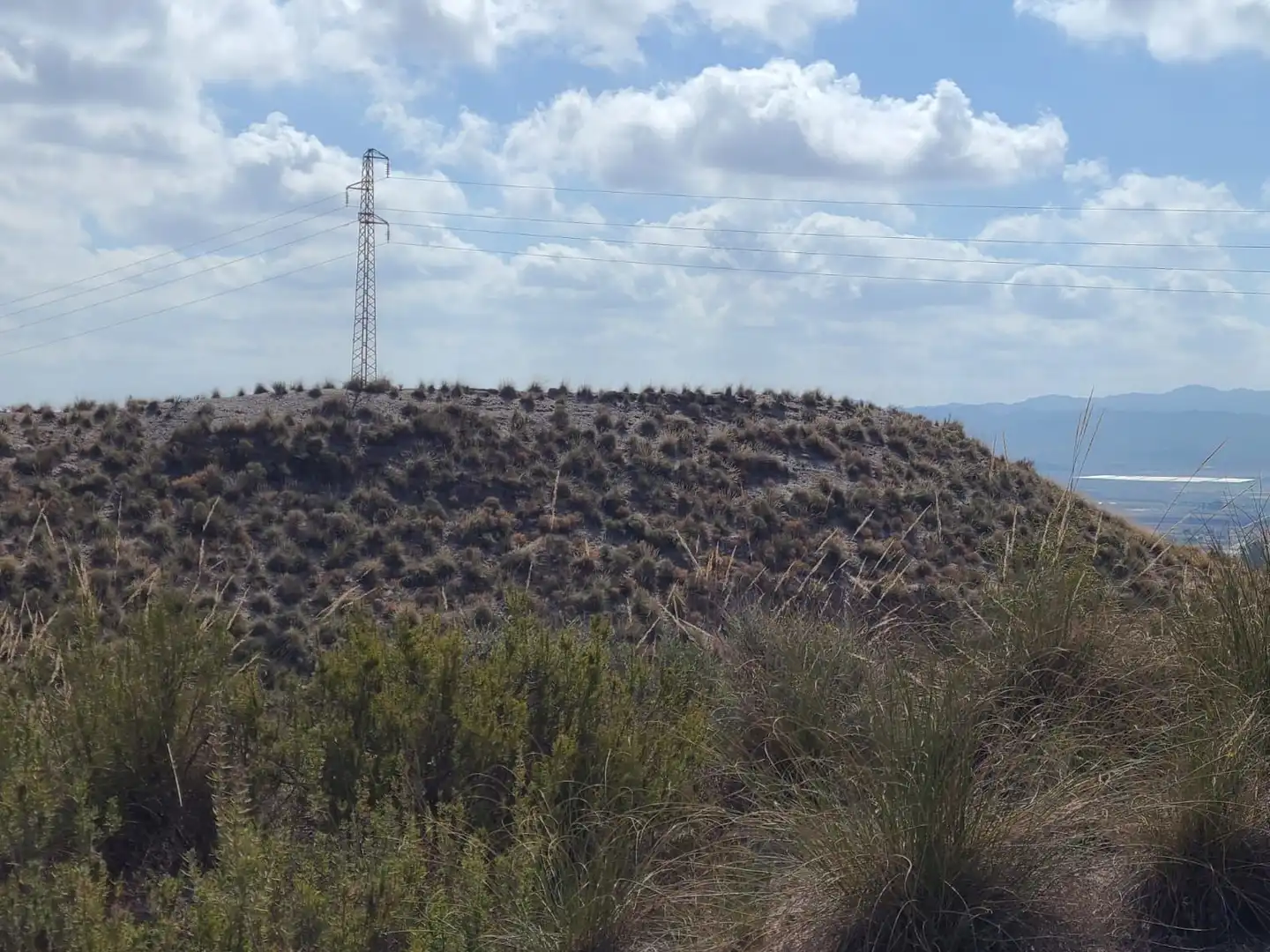 Terrains et parcelles à vendre à Pedanías Centro, imagen 33