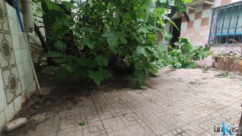 Casa o xalet en venda en Linares amb Terrassa