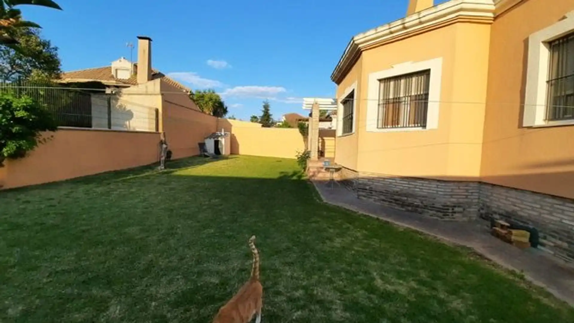 Vista exterior de Casa o xalet en venda en Almensilla amb Aire condicionat, Calefacció i Jardí privat