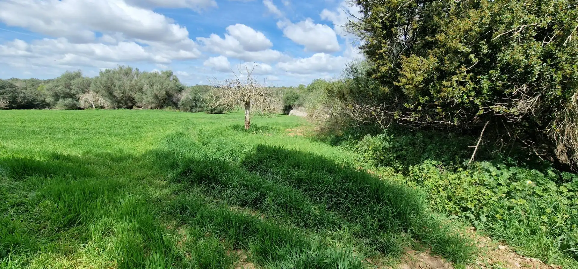 Country homes for sale in Manacor