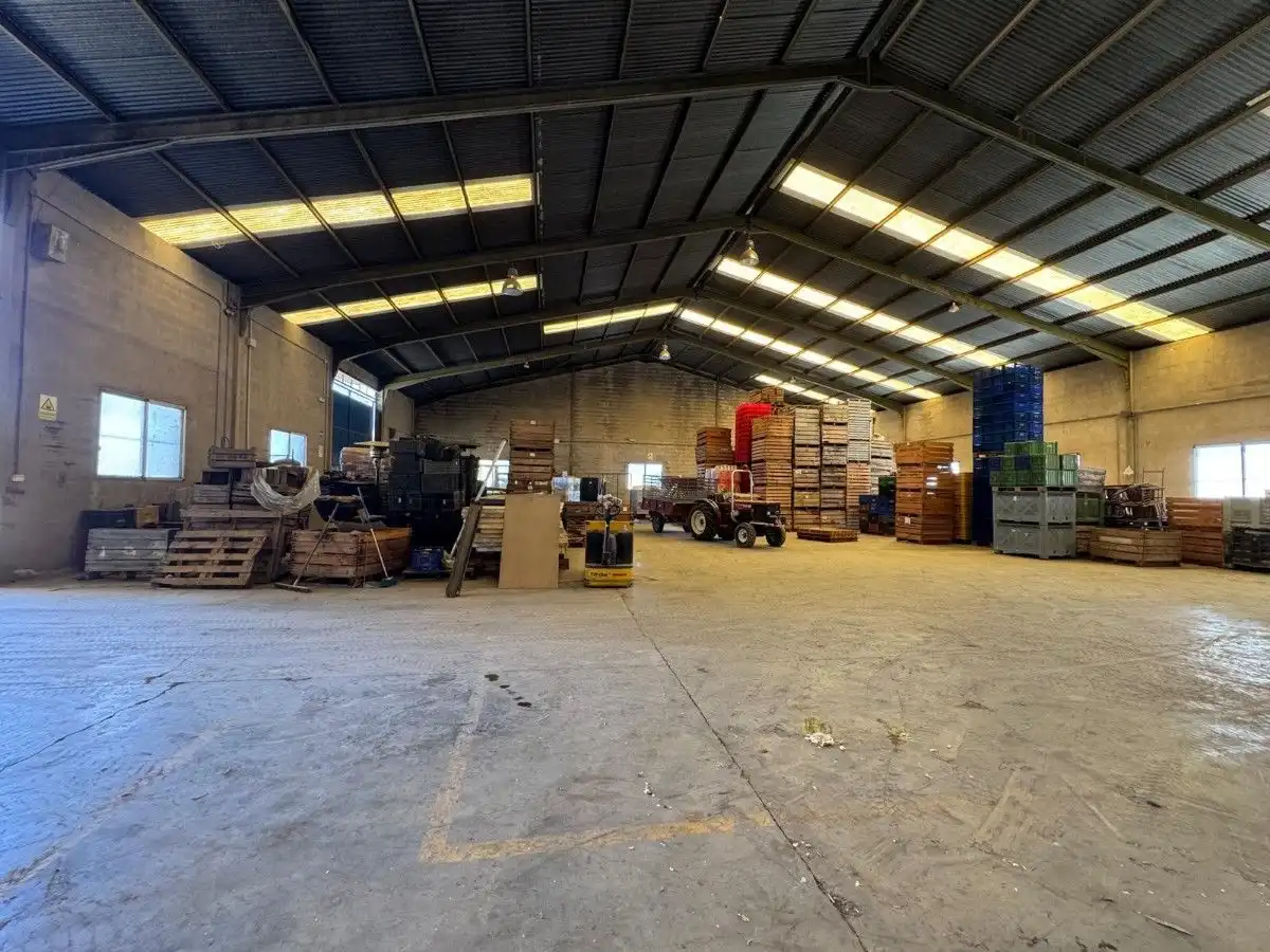 Nave industrial in vendita a La Llosa de Ranes, imagen 22
