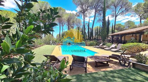 Foto 3 de Finca rústica en venda a Calañas, Huelva