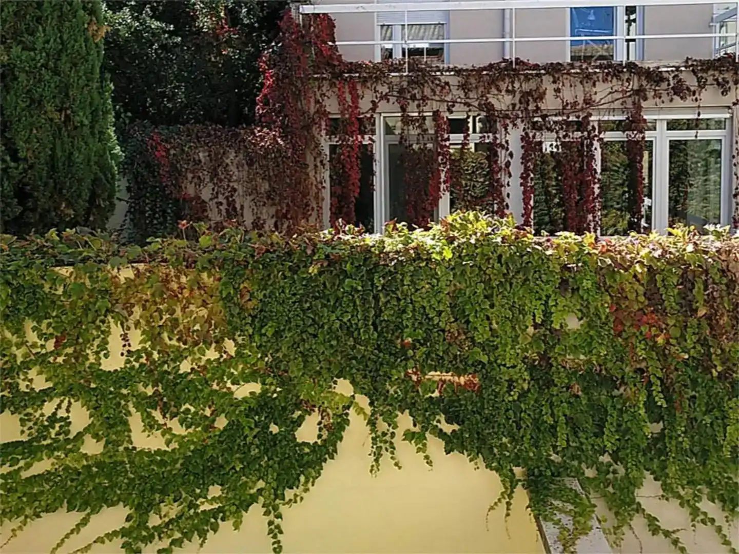 Jardí de Casa adosada en venda en Salamanca Capital amb Aire condicionat i Balcó