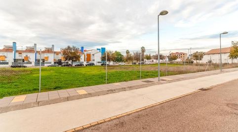 Carpio, El, (Córdoba) Terreno urbano para construir en Calle Venus., immagine 4
