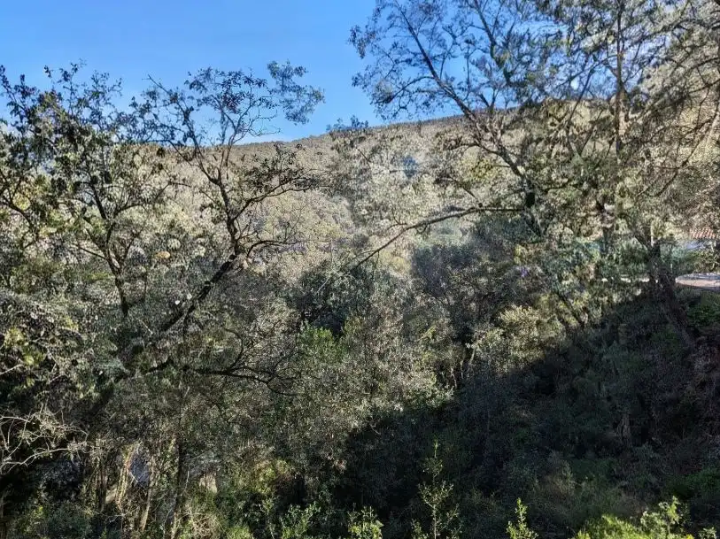 Terreny residencial en venda a carretera de la Platja del Racó 20, imagen 10