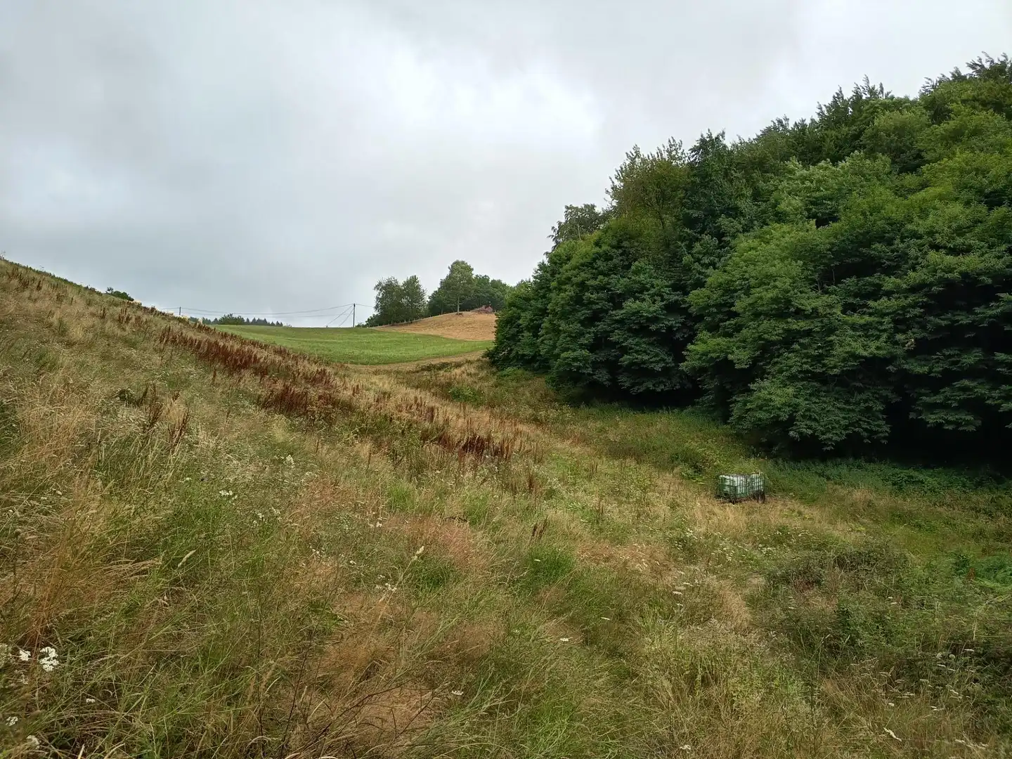 Land for sale in Basaburua