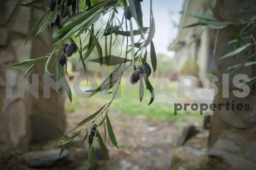 Casa o xalet en venda en Abrucena amb Jardí privat, Terrassa i Moblat