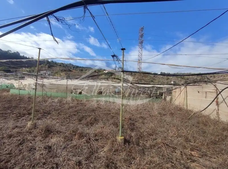 Terreno residenziale in vendita a La Guancha, imagen 20