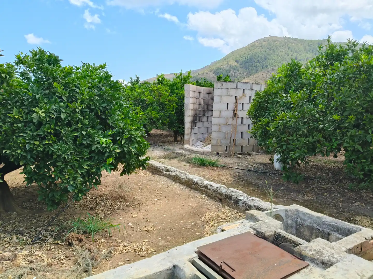 Rural land for sale in Partida Pla 42, imagen 12