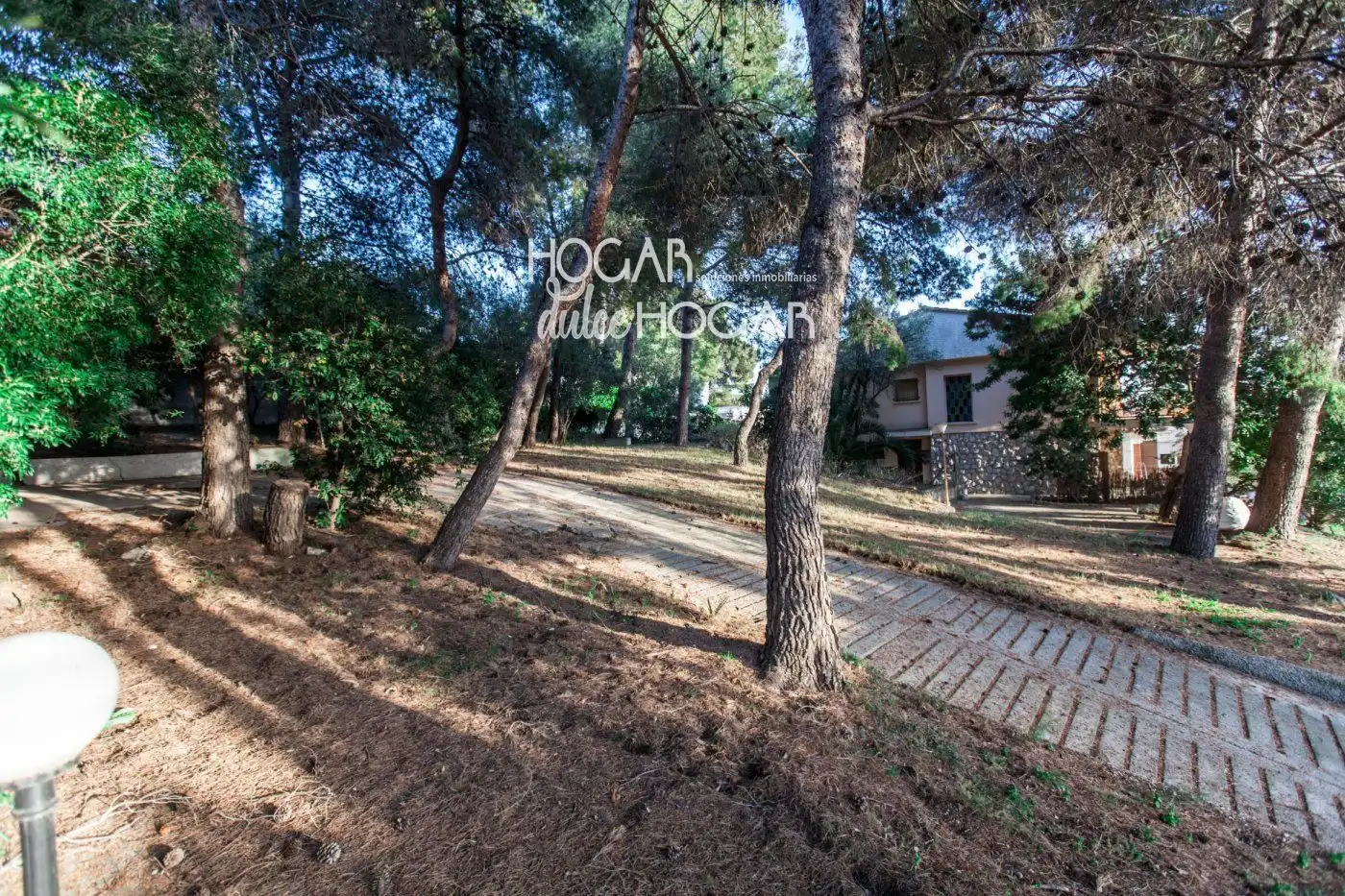 Terreno rustico in vendita a Mèxic, imagen 4
