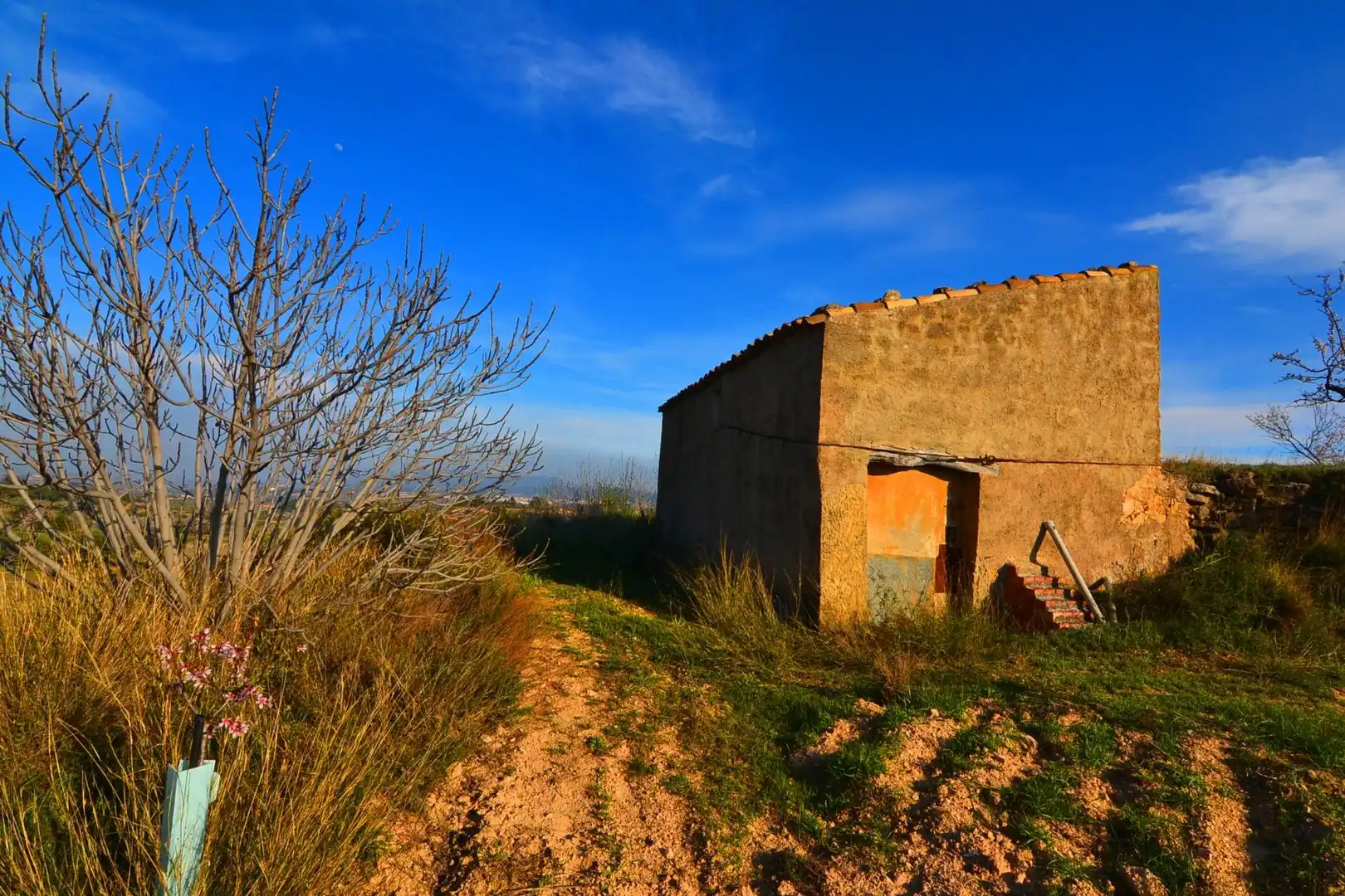 Rural land for sale in Gandesa