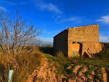 Terreno rústico en venta en Gandesa
