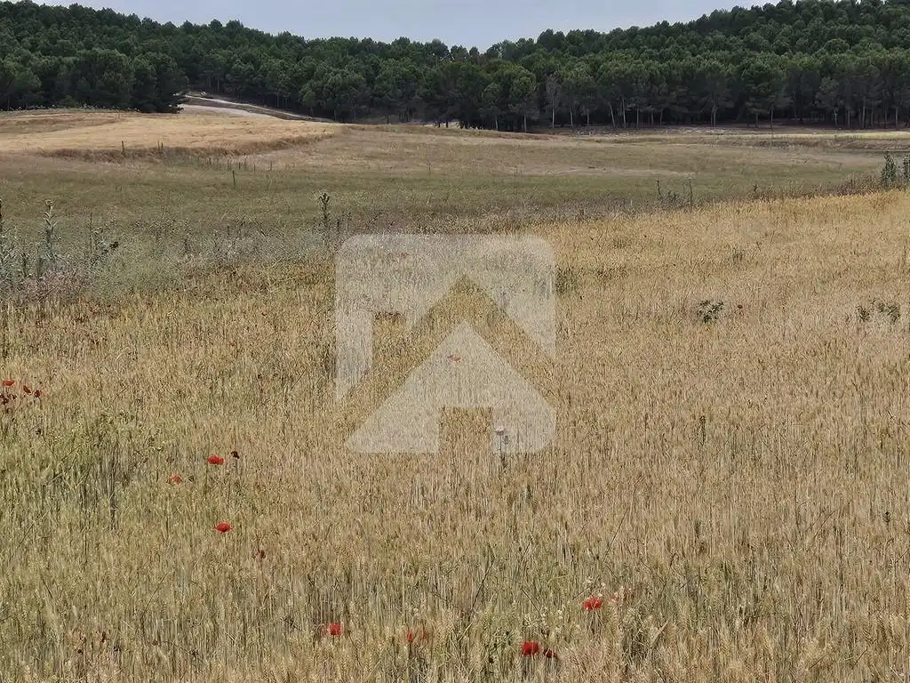 Grundstücke zum Verkauf in Valdemoro