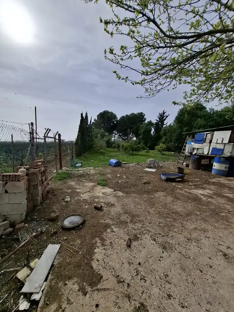 Finca rústica en venda a Partida Saavedra, El Edén
