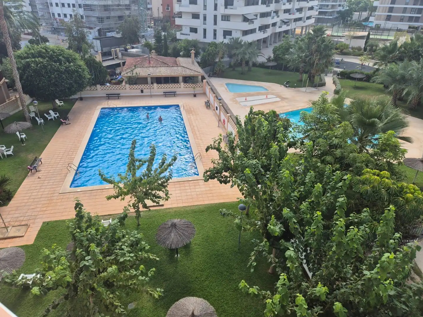 Swimming pool of Study for rent in Alicante / Alacant  with Heating, Terrace and Furnished