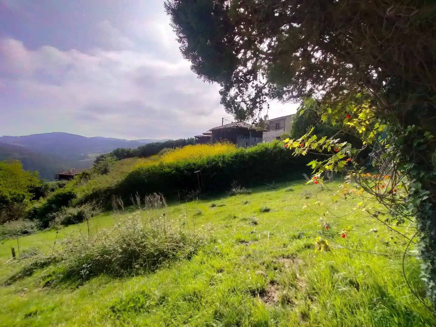 Finca rústica en venda en Cudillero amb Jardí privat, Terrassa i Traster