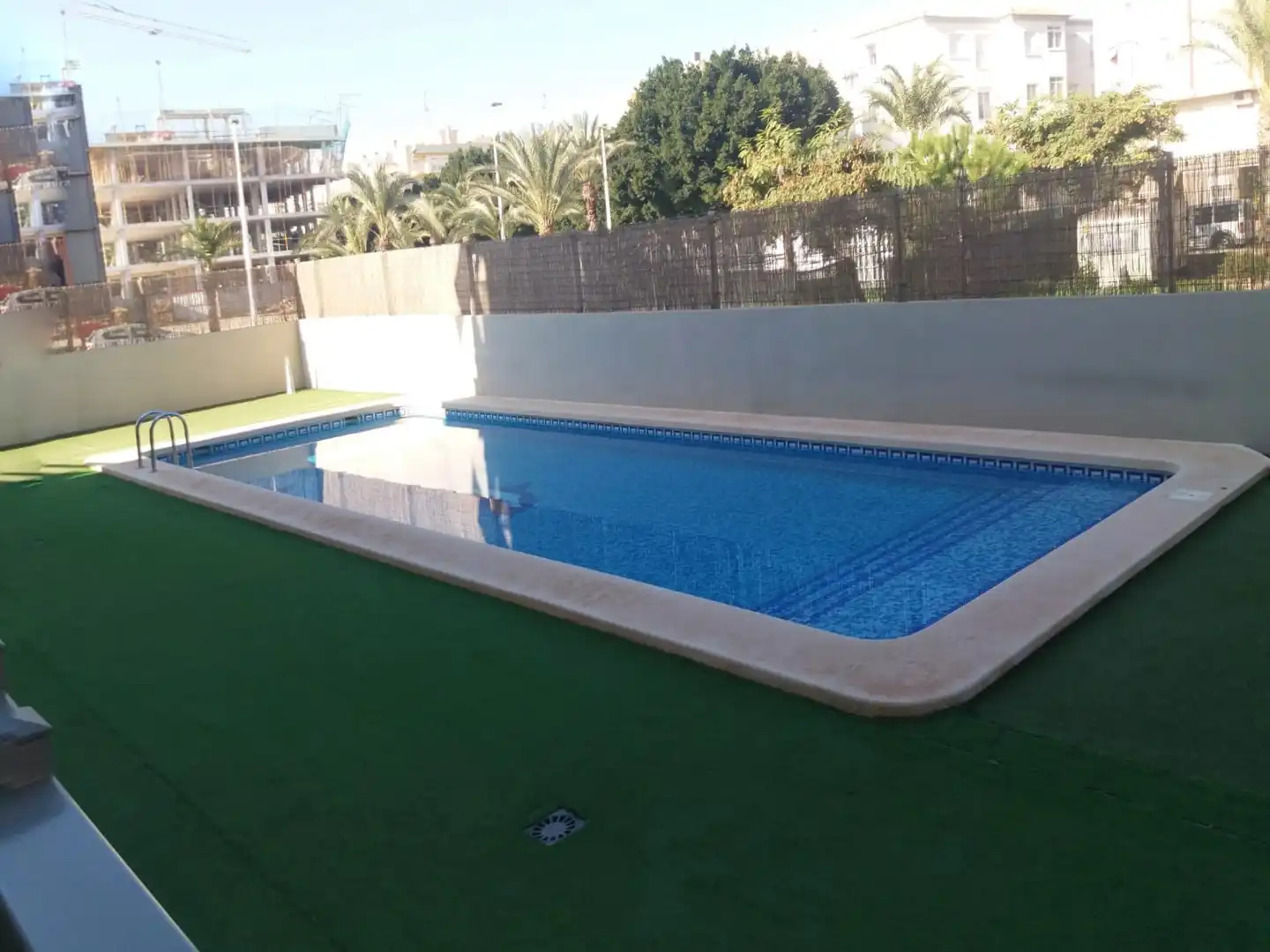 Swimming pool of Flat for rent in Elche / Elx  with Balcony and Community pool