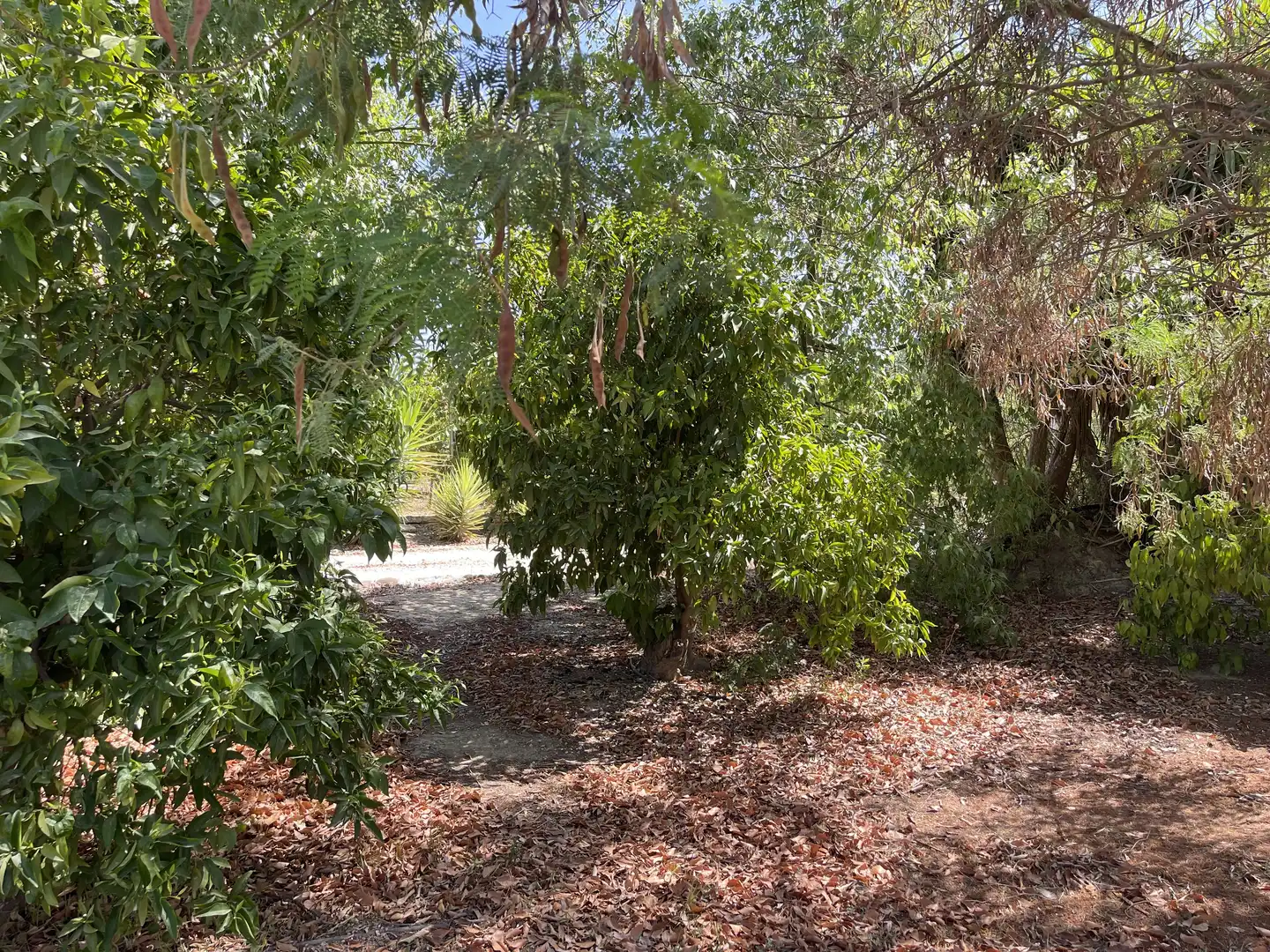 Finca rústica en venda a Diseminado Poligono 27, 78, Casalpalma - Fahala