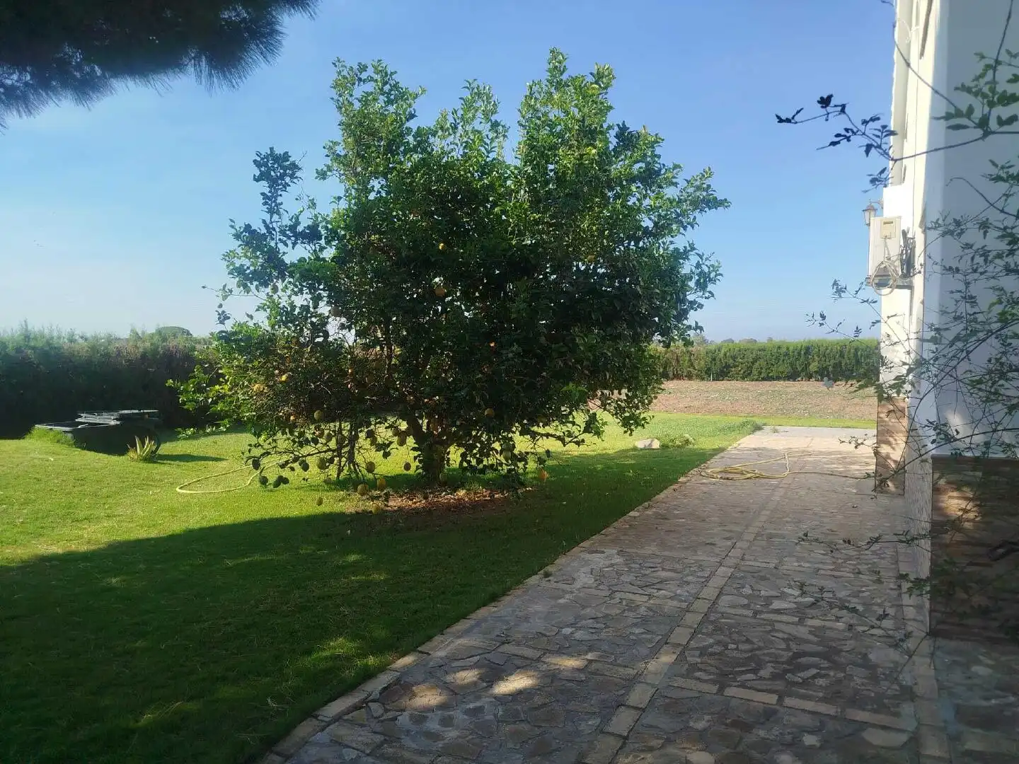 Houses for sale in Rota
