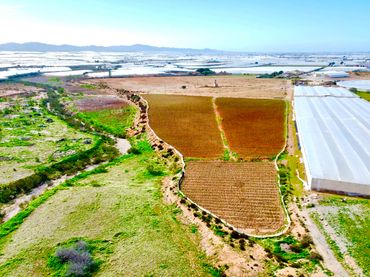 Terreno rustico in vendita a Diseminado Saladar y Leche
