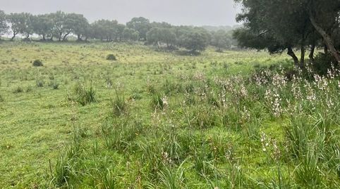 Foto 3 von Residential zum Verkauf in Barbate ciudad, Barbate