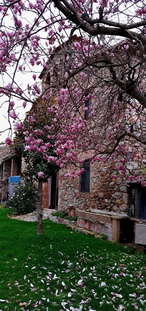 Casa rustica in vendita a Sant Gregori, imagen 18
