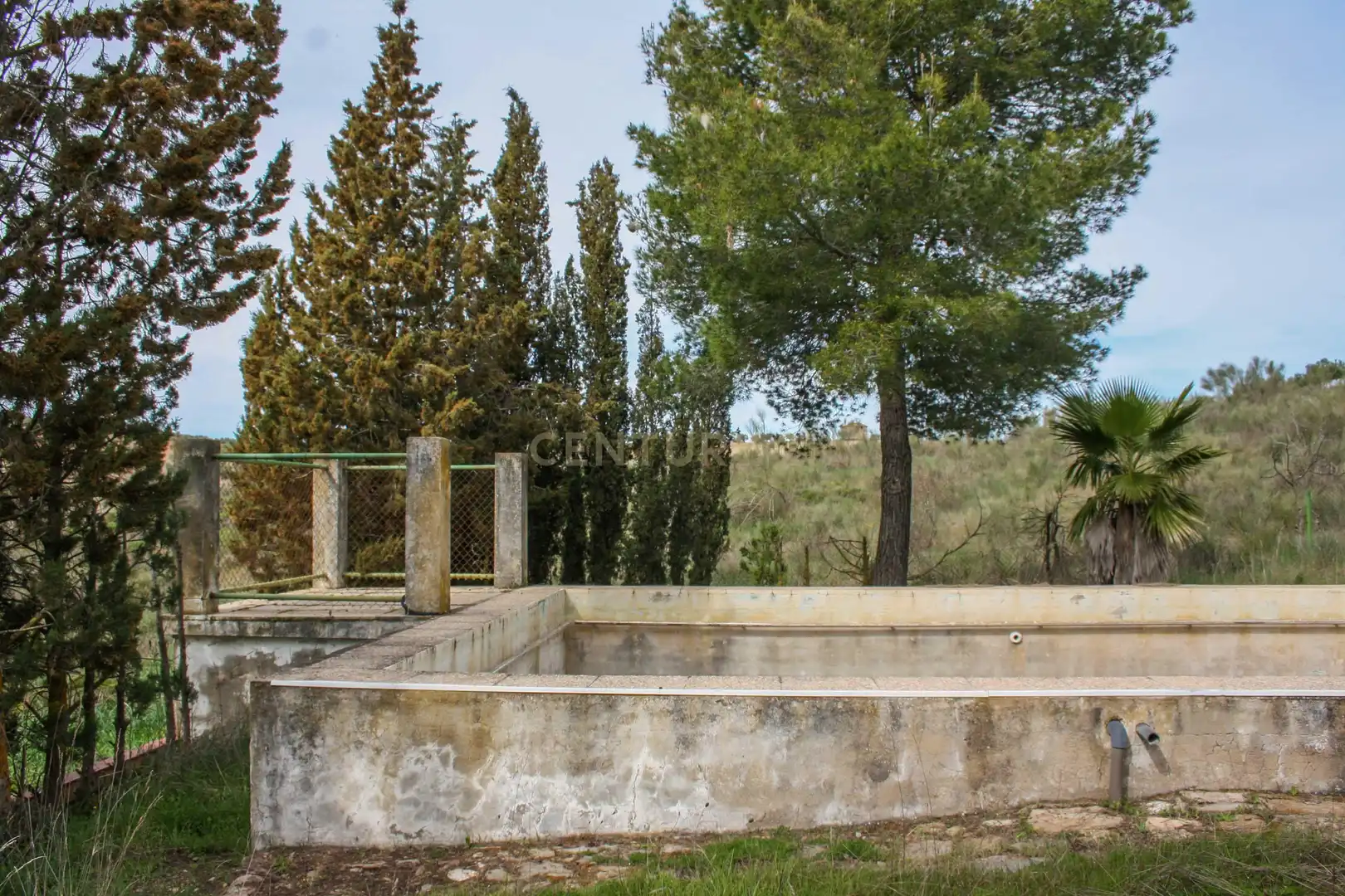 Garden of Land for sale in Azuaga