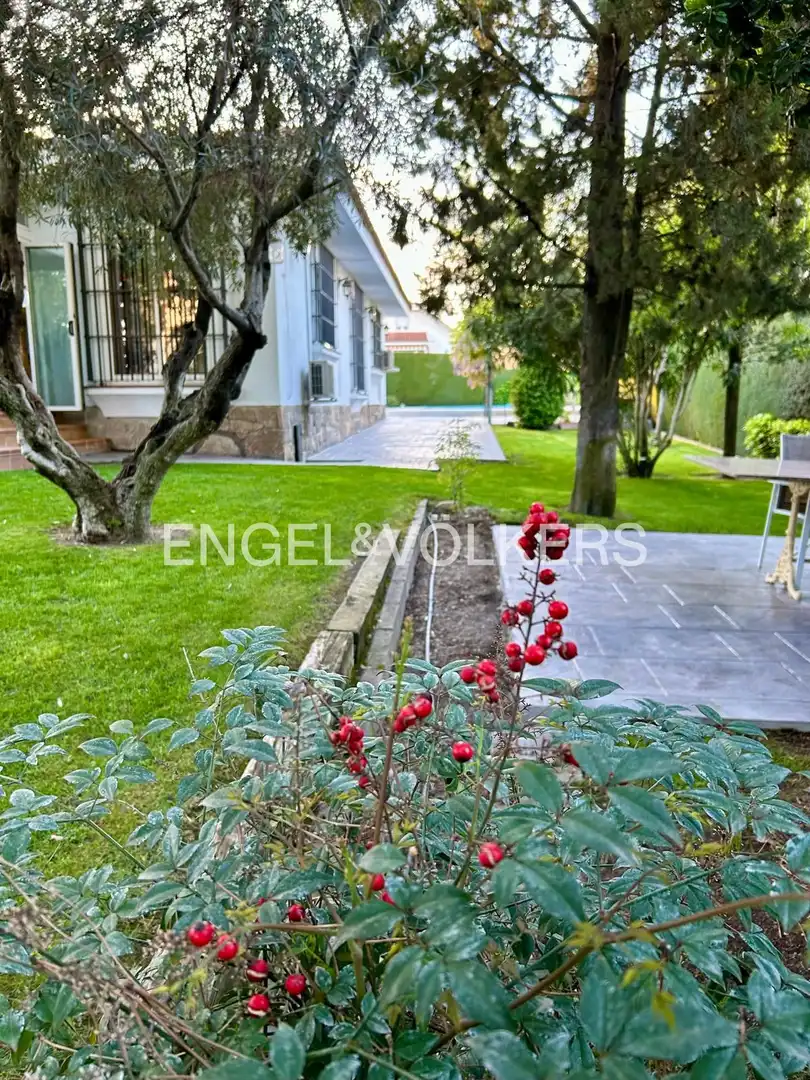 Jardí de Casa o xalet en venda en Boadilla del Monte amb Aire condicionat, Calefacció i Jardí privat