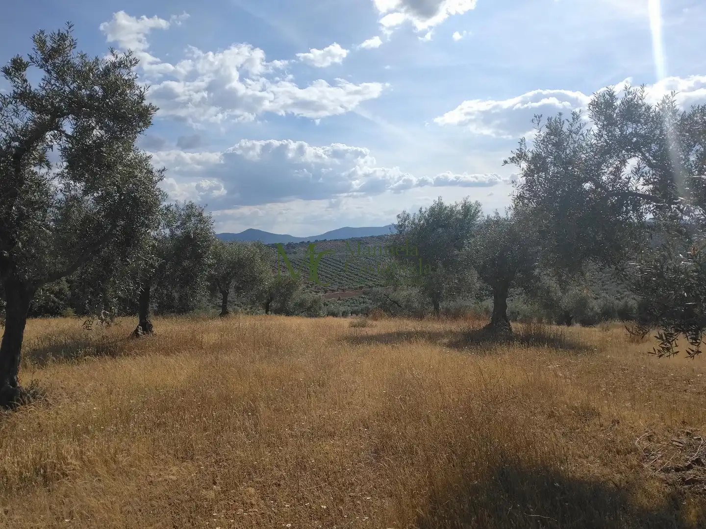 Grundstücke und Bauplätze zum Verkauf in Guareña, imagen 7