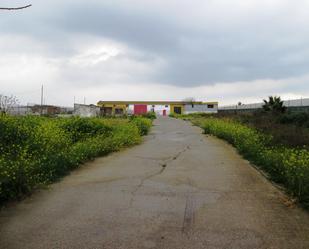 Industrial buildings for sale in Sanlúcar de Barrameda