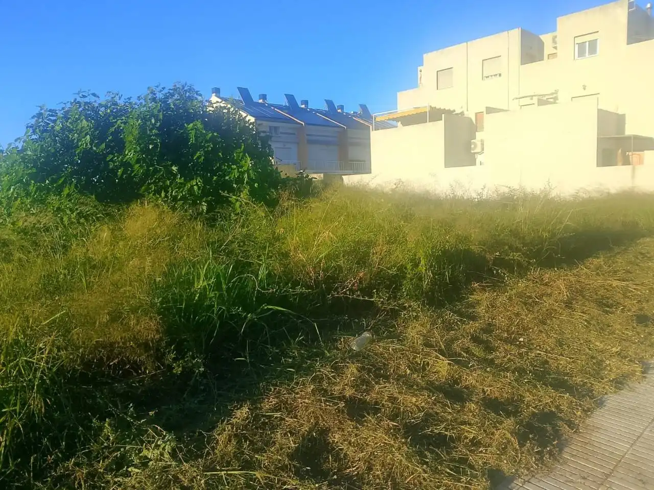 Residential land for sale in Calle Vernissa, imagen 7