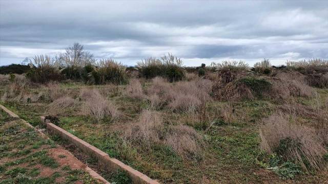 Terreno residencial en Venta en Dobla en Casas Bajas