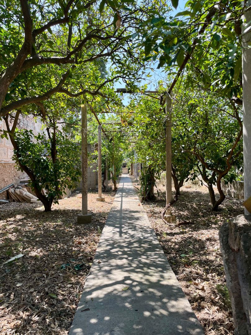 Exterior view of House or chalet for sale in Consell  with Air Conditioner, Private garden and Terrace