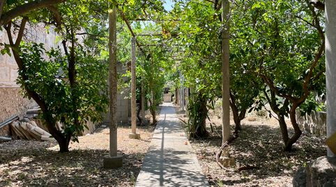 Foto 2 de Casa o chalet en venta en Consell, Illes Balears